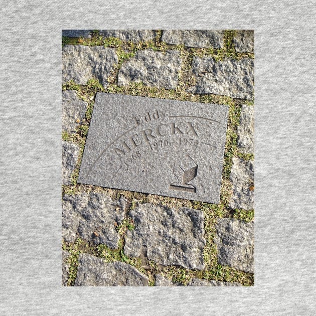 roubaix cobble of eddy merckx by acolename1